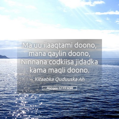 Picture 05 - Matayos 12:19 SOM - Ma uu ilaaqtami doono, mana qaylin doono, Ninnana - Bible Verse Picture