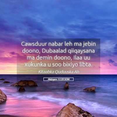 Picture 05 - Matayos 12:20 SOM - Cawsduur nabar leh ma jebin doono, Dubaalad - Bible Verse Picture