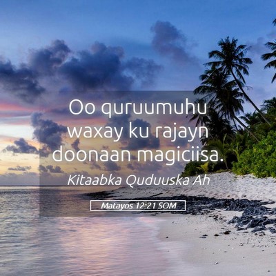 Picture 05 - Matayos 12:21 SOM - Oo quruumuhu waxay ku rajayn doonaan - Bible Verse Picture