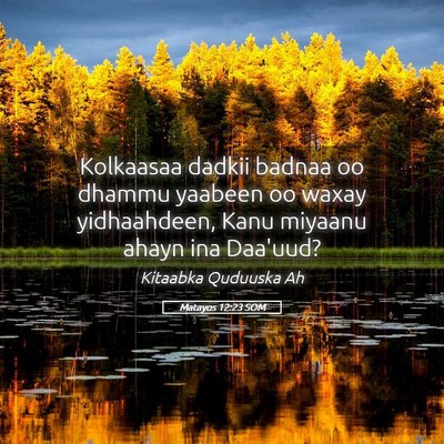 Picture 05 - Matayos 12:23 SOM - Kolkaasaa dadkii badnaa oo dhammu yaabeen oo - Bible Verse Picture