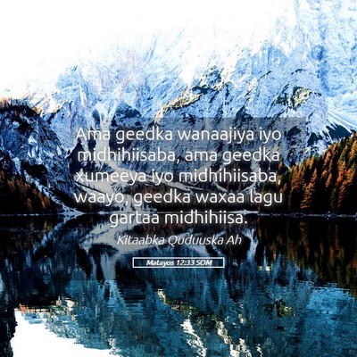 Picture 05 - Matayos 12:33 SOM - Ama geedka wanaajiya iyo midhihiisaba, ama geedka - Bible Verse Picture