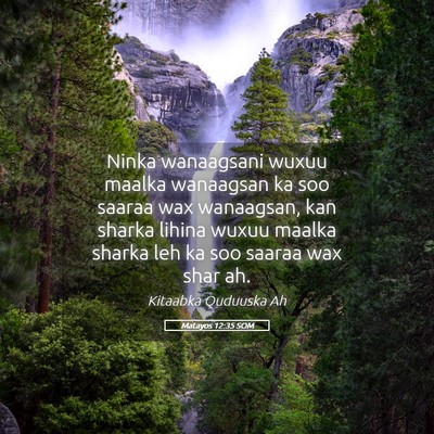 Picture 05 - Matayos 12:35 SOM - Ninka wanaagsani wuxuu maalka wanaagsan ka soo - Bible Verse Picture