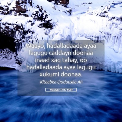 Picture 05 - Matayos 12:37 SOM - Waayo, hadalladaada ayaa lagugu caddayn doonaa - Bible Verse Picture