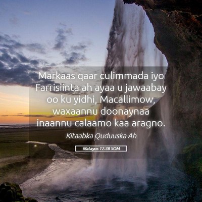 Picture 05 - Matayos 12:38 SOM - Markaas qaar culimmada iyo Farrisiinta ah ayaa u - Bible Verse Picture