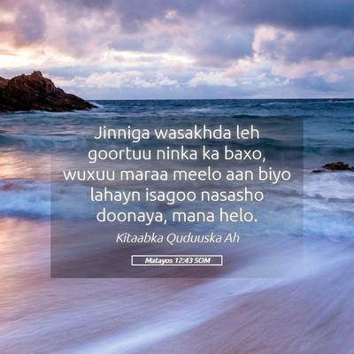 Picture 05 - Matayos 12:43 SOM - Jinniga wasakhda leh goortuu ninka ka baxo, wuxuu - Bible Verse Picture