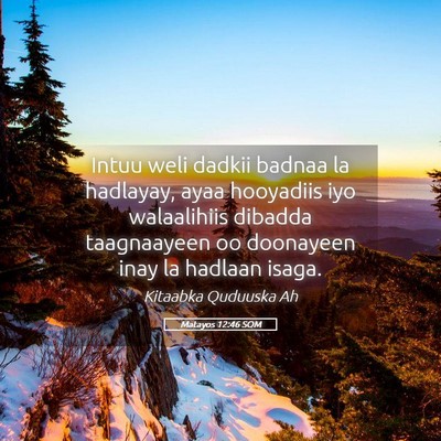 Picture 05 - Matayos 12:46 SOM - Intuu weli dadkii badnaa la hadlayay, ayaa - Bible Verse Picture