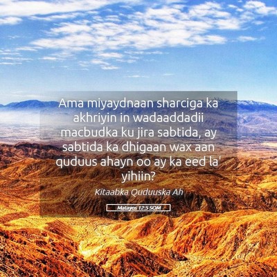 Picture 05 - Matayos 12:5 SOM - Ama miyaydnaan sharciga ka akhriyin in - Bible Verse Picture