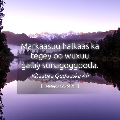 Picture 05 - Matayos 12:9 SOM - Markaasuu halkaas ka tegey oo wuxuu galay - Bible Verse Picture