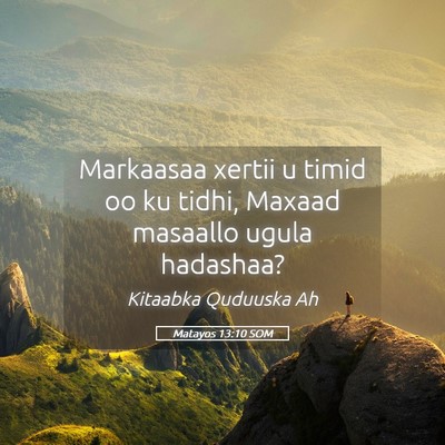 Picture 05 - Matayos 13:10 SOM - Markaasaa xertii u timid oo ku tidhi, Maxaad - Bible Verse Picture