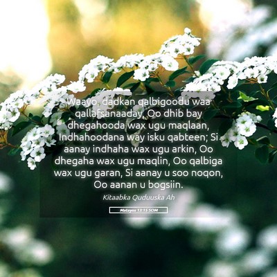 Picture 05 - Matayos 13:15 SOM - Waayo, dadkan qalbigoodu waa qallafsanaaday, Oo - Bible Verse Picture