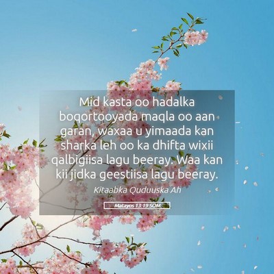 Picture 05 - Matayos 13:19 SOM - Mid kasta oo hadalka boqortooyada maqla oo aan - Bible Verse Picture