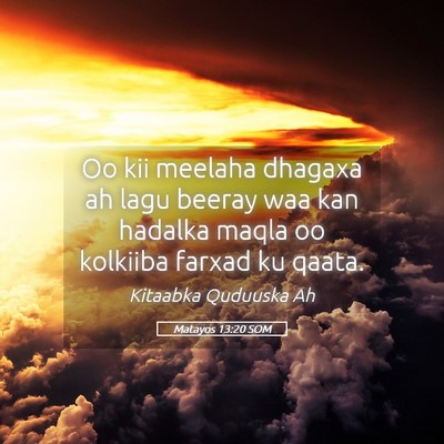 Picture 05 - Matayos 13:20 SOM - Oo kii meelaha dhagaxa ah lagu beeray waa kan - Bible Verse Picture