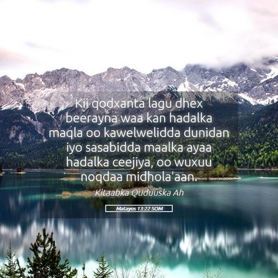 Picture 05 - Matayos 13:22 SOM - Kii qodxanta lagu dhex beerayna waa kan hadalka - Bible Verse Picture