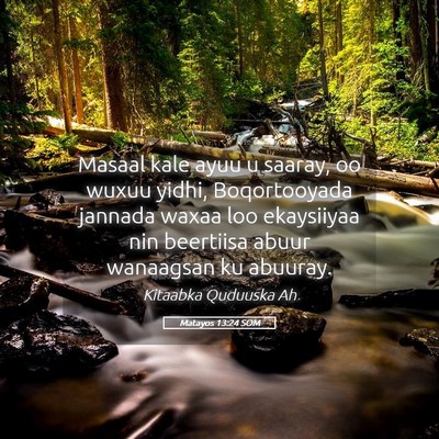 Picture 05 - Matayos 13:24 SOM - Masaal kale ayuu u saaray, oo wuxuu yidhi, - Bible Verse Picture