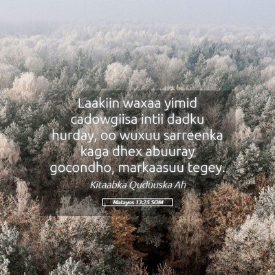Picture 05 - Matayos 13:25 SOM - Laakiin waxaa yimid cadowgiisa intii dadku - Bible Verse Picture