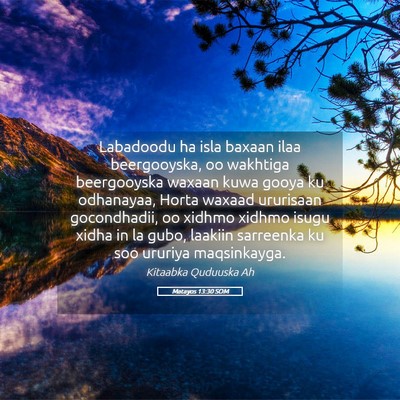 Picture 05 - Matayos 13:30 SOM - Labadoodu ha isla baxaan ilaa beergooyska, oo - Bible Verse Picture