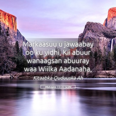 Picture 05 - Matayos 13:37 SOM - Markaasuu u jawaabay oo ku yidhi, Kii abuur - Bible Verse Picture
