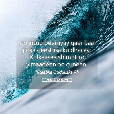 Picture 05 - Matayos 13:4 SOM - oo intuu beerayay qaar baa jidka geestiisa ku - Bible Verse Picture