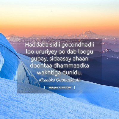 Picture 05 - Matayos 13:40 SOM - Haddaba sidii gocondhadii loo ururiyey oo dab - Bible Verse Picture