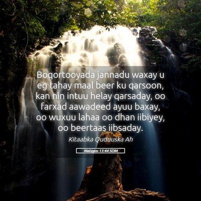 Picture 05 - Matayos 13:44 SOM - Boqortooyada jannadu waxay u eg tahay maal beer - Bible Verse Picture
