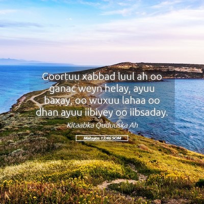 Picture 05 - Matayos 13:46 SOM - Goortuu xabbad luul ah oo ganac weyn helay, ayuu - Bible Verse Picture