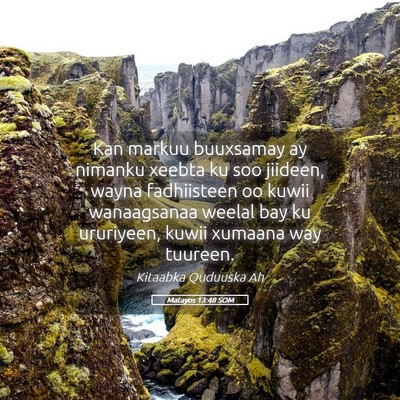 Picture 05 - Matayos 13:48 SOM - Kan markuu buuxsamay ay nimanku xeebta ku soo - Bible Verse Picture