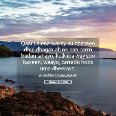 Picture 05 - Matayos 13:5 SOM - Qaar kalena waxay ku dhaceen dhul dhagax ah oo - Bible Verse Picture