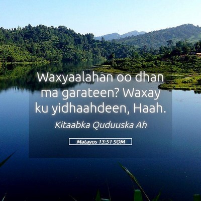 Picture 05 - Matayos 13:51 SOM - Waxyaalahan oo dhan ma garateen? Waxay ku - Bible Verse Picture