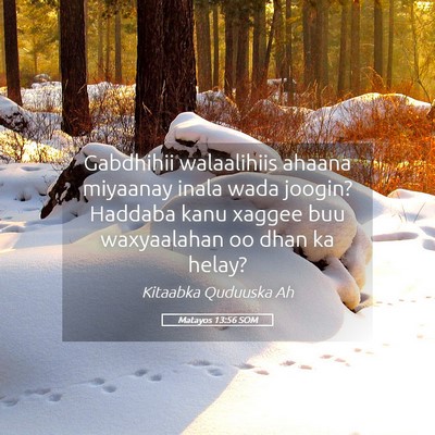 Picture 05 - Matayos 13:56 SOM - Gabdhihii walaalihiis ahaana miyaanay inala wada - Bible Verse Picture