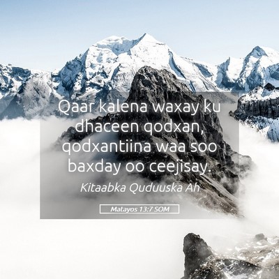 Picture 05 - Matayos 13:7 SOM - Qaar kalena waxay ku dhaceen qodxan, qodxantiina - Bible Verse Picture