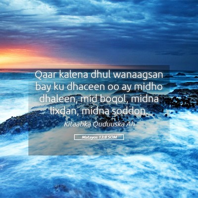 Picture 05 - Matayos 13:8 SOM - Qaar kalena dhul wanaagsan bay ku dhaceen oo ay - Bible Verse Picture