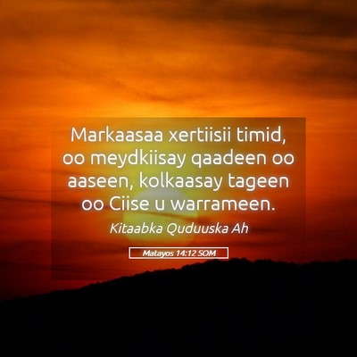 Picture 05 - Matayos 14:12 SOM - Markaasaa xertiisii timid, oo meydkiisay qaadeen - Bible Verse Picture