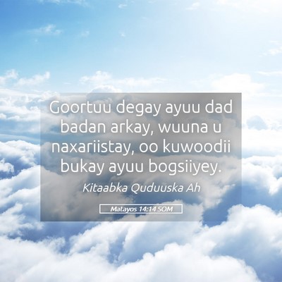 Picture 05 - Matayos 14:14 SOM - Goortuu degay ayuu dad badan arkay, wuuna u - Bible Verse Picture