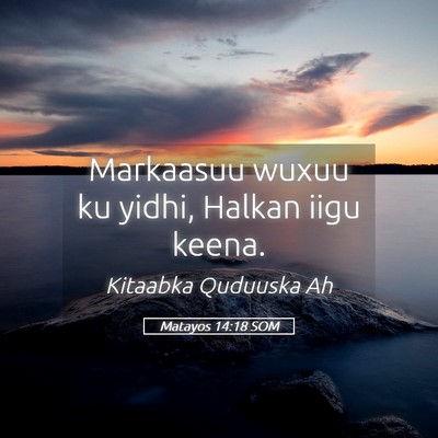 Picture 05 - Matayos 14:18 SOM - Markaasuu wuxuu ku yidhi, Halkan iigu - Bible Verse Picture