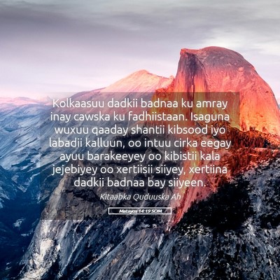 Picture 05 - Matayos 14:19 SOM - Kolkaasuu dadkii badnaa ku amray inay cawska ku - Bible Verse Picture