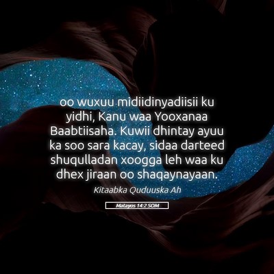 Picture 05 - Matayos 14:2 SOM - oo wuxuu midiidinyadiisii ku yidhi, Kanu waa - Bible Verse Picture
