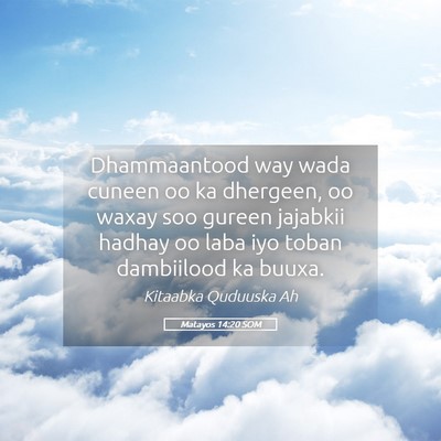 Picture 05 - Matayos 14:20 SOM - Dhammaantood way wada cuneen oo ka dhergeen, oo - Bible Verse Picture