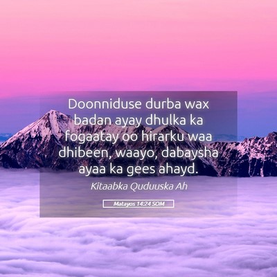 Picture 05 - Matayos 14:24 SOM - Doonniduse durba wax badan ayay dhulka ka - Bible Verse Picture