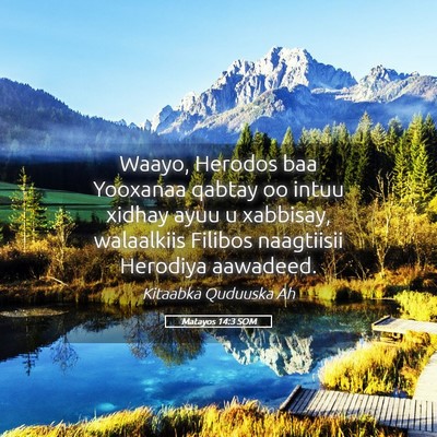 Picture 05 - Matayos 14:3 SOM - Waayo, Herodos baa Yooxanaa qabtay oo intuu - Bible Verse Picture