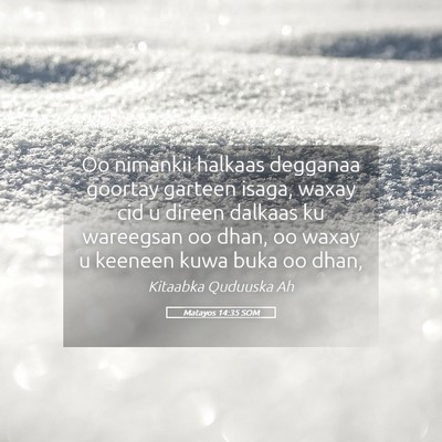 Picture 05 - Matayos 14:35 SOM - Oo nimankii halkaas degganaa goortay garteen - Bible Verse Picture