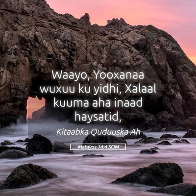 Picture 05 - Matayos 14:4 SOM - Waayo, Yooxanaa wuxuu ku yidhi, Xalaal kuuma aha - Bible Verse Picture