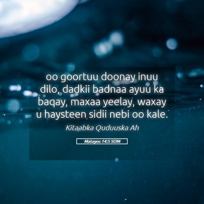 Picture 05 - Matayos 14:5 SOM - oo goortuu doonay inuu dilo, dadkii badnaa ayuu - Bible Verse Picture