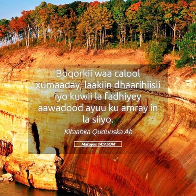 Picture 05 - Matayos 14:9 SOM - Boqorkii waa calool xumaaday, laakiin - Bible Verse Picture