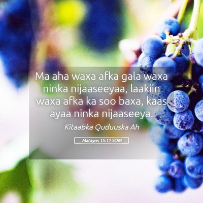 Picture 05 - Matayos 15:11 SOM - Ma aha waxa afka gala waxa ninka nijaaseeyaa, - Bible Verse Picture