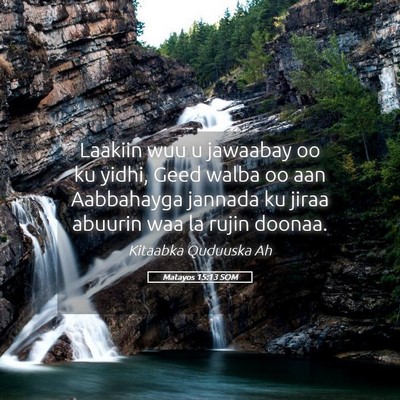 Picture 05 - Matayos 15:13 SOM - Laakiin wuu u jawaabay oo ku yidhi, Geed walba oo - Bible Verse Picture