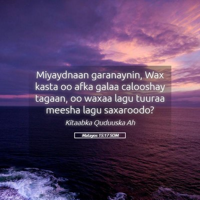 Picture 05 - Matayos 15:17 SOM - Miyaydnaan garanaynin, Wax kasta oo afka galaa - Bible Verse Picture