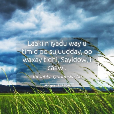 Picture 05 - Matayos 15:25 SOM - Laakiin iyadu way u timid oo sujuudday, oo waxay - Bible Verse Picture