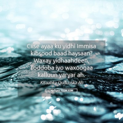 Picture 05 - Matayos 15:34 SOM - Ciise ayaa ku yidhi Immisa kibsood baad haysaan? - Bible Verse Picture