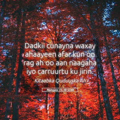 Picture 05 - Matayos 15:38 SOM - Dadkii cunayna waxay ahaayeen afar kun oo rag ah - Bible Verse Picture