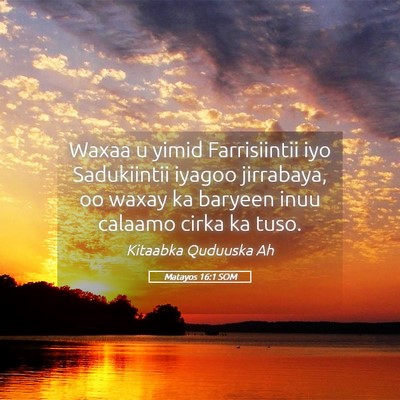 Picture 05 - Matayos 16:1 SOM - Waxaa u yimid Farrisiintii iyo Sadukiintii iyagoo - Bible Verse Picture